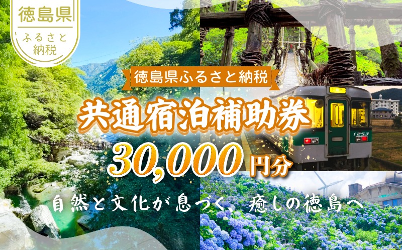 徳島県 宿泊券 30,000円分 徳島県 徳島 すだち 大野 海苔 のり お土産 米 徳島ラーメン ラーメン 道の駅 観光 ホテル 美術館 名物 温泉 グルメ 徳島ヴォルティス フィッシュカツ 半田そうめん 阿波踊り お菓子 日本酒 藍染
