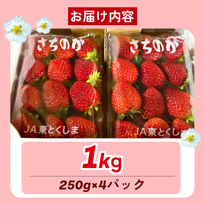 いちご 1kg さちのか 苺 イチゴ ストロベリー 数量限定 徳島県産 ichigo strawberry itigo 2月上旬より順次出荷 徳島県 