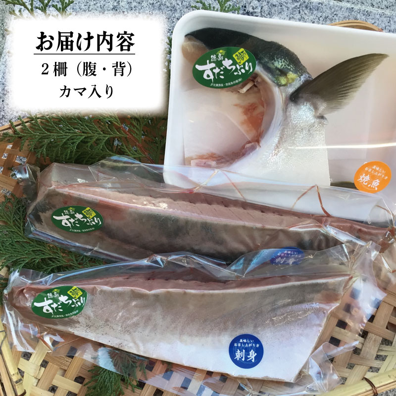 すだちぶり 2柵 カマいり 《 冷蔵発送！すぐに食べられる！》 10月から11月末まで発送 すだち ぶり 鰤 刺身 ぶりしゃぶ 切り身 さしみ しゃぶしゃぶ かぼすぶり に負けない 下処理済み 徳島 鳴門 なると