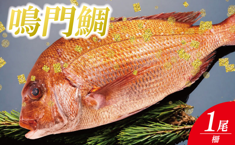 鳴門鯛 1kg 《 柵 1尾分 》 鯛 1尾 刺身 タイ 天然 鳴門 鯛 下処理 対応 塩焼き 鯛めし 祝い鯛 おせち 正月 しゃぶしゃぶ 鯛しゃぶ 鍋 年末年始 徳島 魚 市場