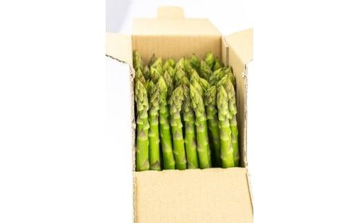 アスパラガス 1kg Lサイズ 2025年 4月から 発送 せいくらべ アスパラ 季節 春 野菜 新鮮 旬 煮物 炒め物 漬物 鍋 味噌汁 家庭用 弁当 惣菜 おかず 健康 栄養 Anto Farm 阿南 徳島