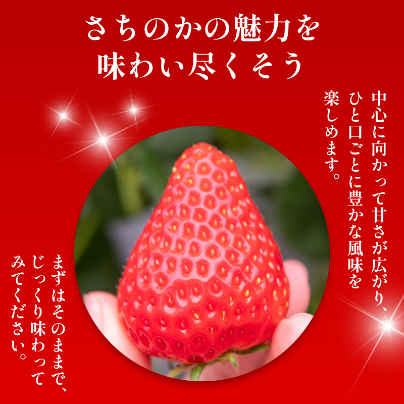いちご 1kg さちのか 苺 イチゴ ストロベリー 数量限定 徳島県産 ichigo strawberry itigo 2月上旬より順次出荷 徳島県 