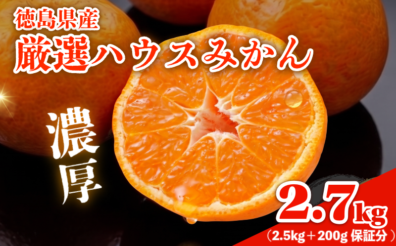 みかん ハウスみかん 2.7kg 傷み補償付き200g みかん 柑橘 フルーツ 果物 みかん ミカン みかん 蜜柑 オレンジ 徳島県 阿南市