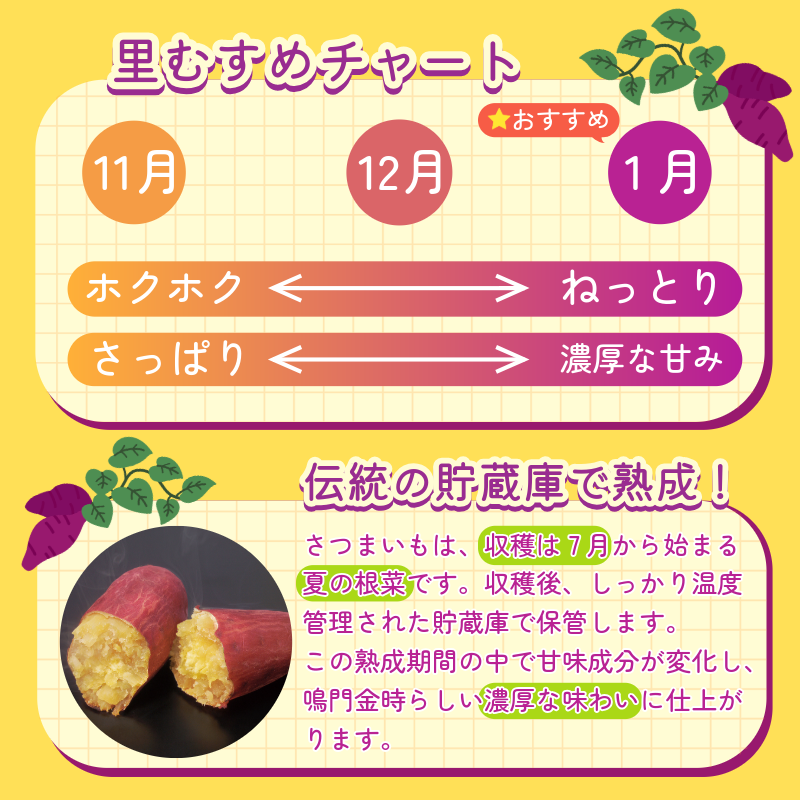 なると金時 里むすめ 5kg Mサイズ 11月発送 《 徳島と言えば なると金時 ！》 さつまいも 鳴門金時 いも 芋 焼き芋 干し芋 スイーツ 貯蔵庫 熟成 国産 ブランド お土産 徳島 鳴門