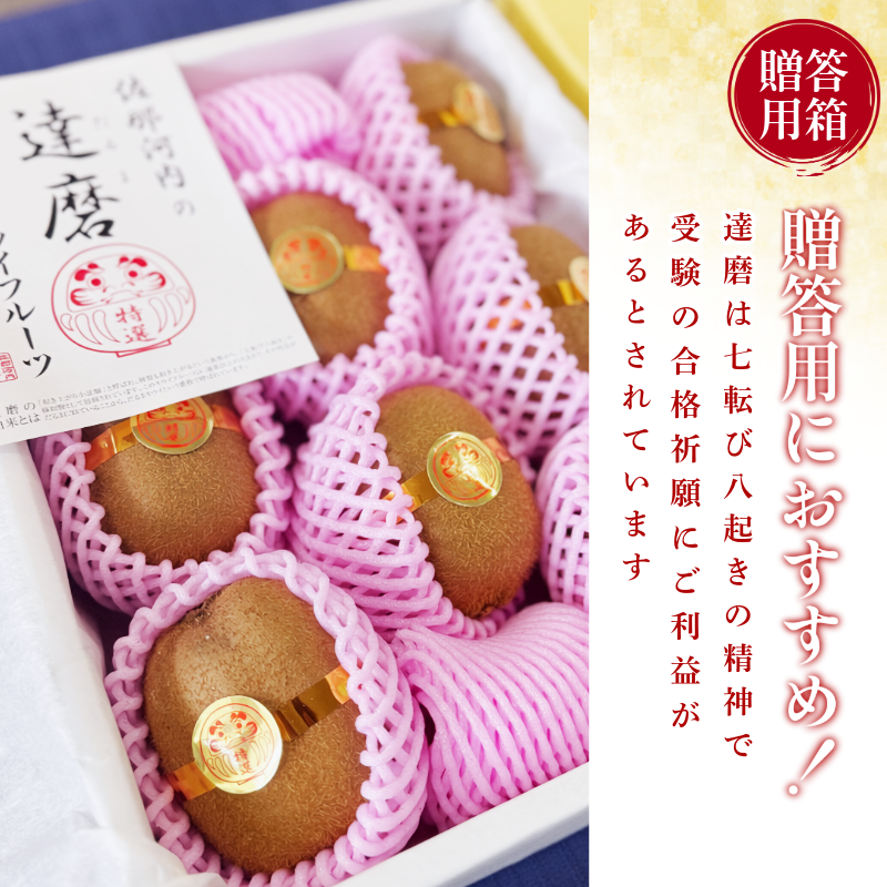 達磨キウイ 8玉 1.4kg きうい キウイ フルーツ 果物 くだもの お取り寄せ 人気 おすすめ 徳島県 送料無料 徳島青果
