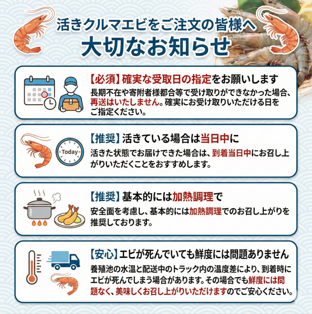 ãæå®æ¥å¿
é ã æŽ»ãè»æµ·è 250g çŽ7å°Ÿïœ10å°Ÿ ãµã€ãºäžïœå€§ ã¯ã«ããšã è»ãšã ã㳠掻ããšã 掻ãããŸãŸ 逿® å¡©çŒã 倩ã·ã ãã©ã€ å·èµ 埳島 鳎é ã10æïœ1æäžæ¬ çºéã