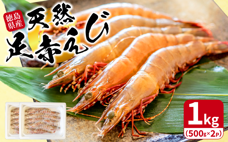 【天然】えび 足赤海老 1kg(500g×2）冷凍 急速冷凍 鮮度そのまま 海老 お正月 刺身 甘い エビフライ 塩焼き 殻付き プリプリ ebi エビ 天然えび 徳島県