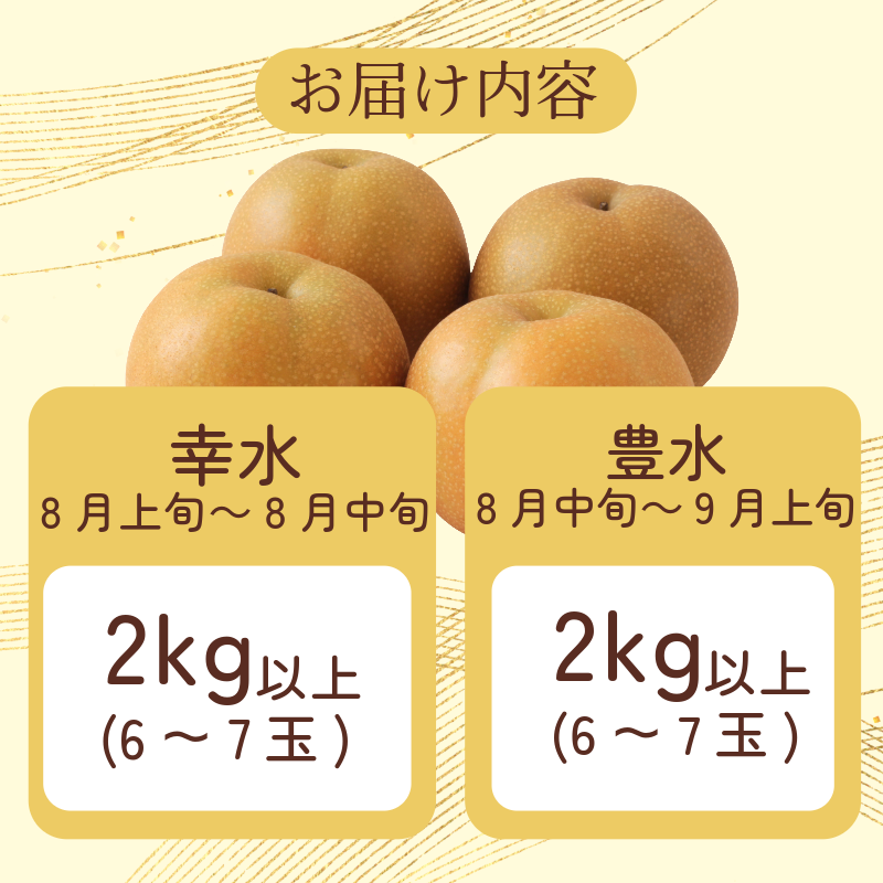 ã8æäžæ¬ãã9æäžæ¬ãŸã§çºéã æ¢š 2kgä»¥äž è±æ°Ž 幞氎 容é éžã¹ã ãã«ãŒã æç© ãªã é£ã¹æ¯ã¹ æ¬ åœç£ å³éž 埳島ç