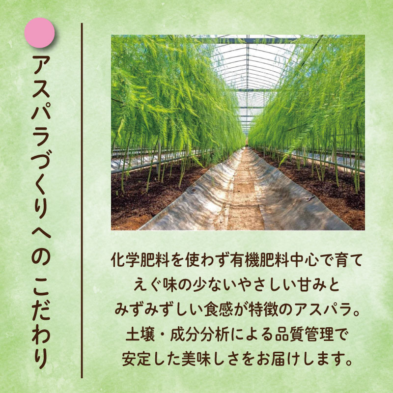 ã¢ã¹ãã©ã¬ã¹ Lãµã€ãº 1kg ã3æããåºè·éå§ïŒã ã¢ã¹ãã© ææ¡ã åŒåœ éè ã°ãªãŒã³ã¢ã¹ãã© ãµã©ã ããŒã³ã³ è±è å·»ã çã åœç£ æ¥éè æ°é®® ãããã㹠埳島 é¿å