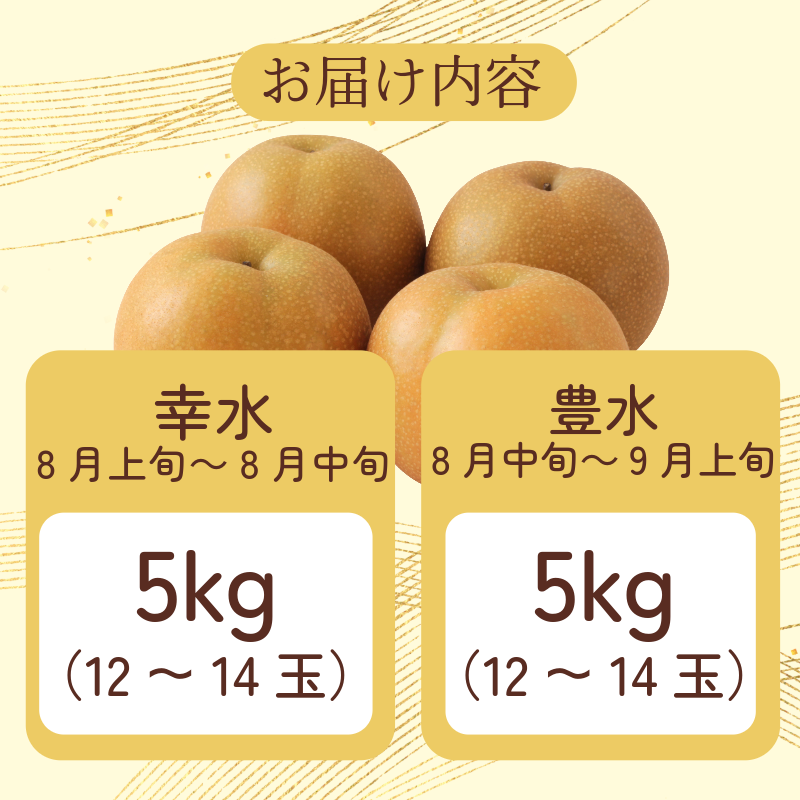 ã8æäžæ¬ãã9æäžæ¬ãŸã§çºéã æ¢š 5kg è±æ°Ž 幞氎 容é éžã¹ã ãã«ãŒã æç© ãªã é£ã¹æ¯ã¹ æ¬ åœç£ å³éž 埳島ç