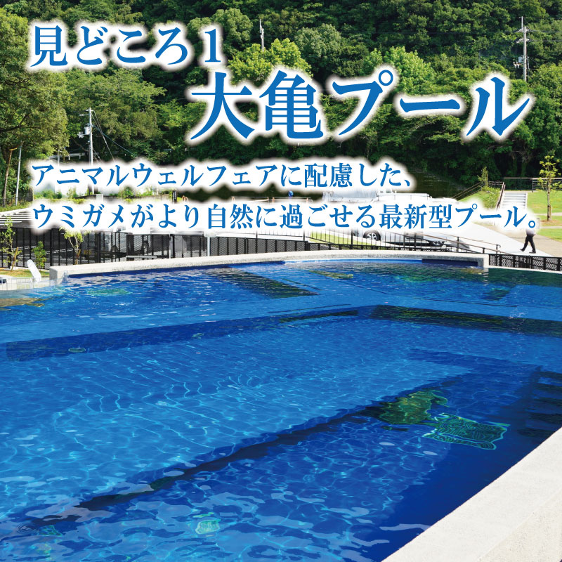 譌・蜥御ス舌≧縺ソ縺後a蜊夂黄鬢ィ繧ォ繝ャ繝繧ソ 蜈・鬢ィ蛻ク 螟ァ莠コ2蜷榊 縺縺ソ縺後a 繧ヲ繝溘ぎ繝。 豬キ莠 縺九a 繧ォ繝。 莠 蜊夂黄鬢ィ 繝√こ繝繝 鄒取ウ「逕コ 蠕ウ蟲カ逵 繝峨Μ繝シ繝繝√シ繝