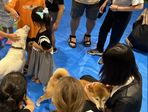「全ての犬・猫の殺処分数ゼロ」の新たな領域へ