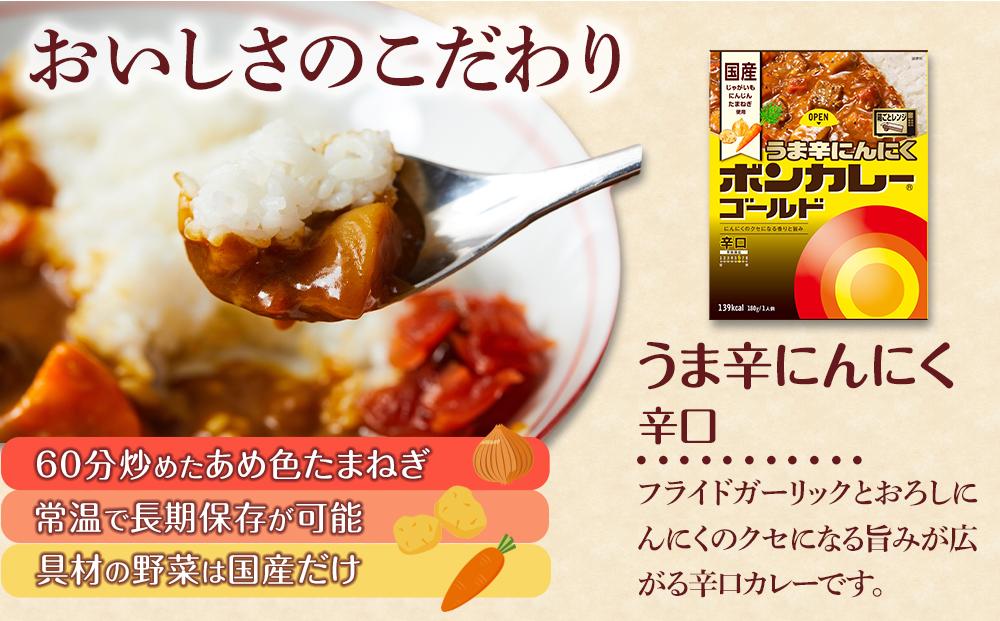 【定期便 全3回】ボンカレーゴールド うま辛にんにく（辛口）30個×3回　計90個