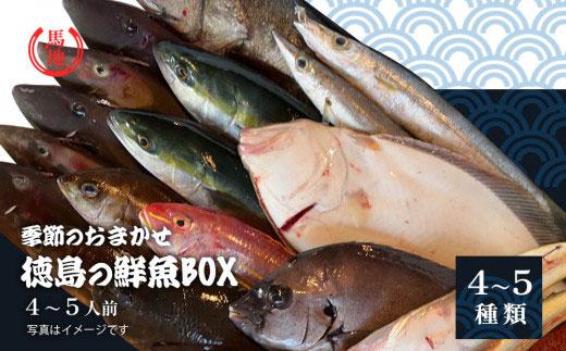 その日のセリの一番魚お届けBOX　4人前（下処理済み）