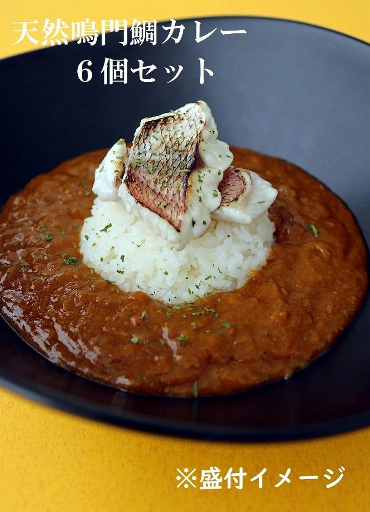 天然鳴門鯛カレー210g×6個 (カレー レトルトカレー）