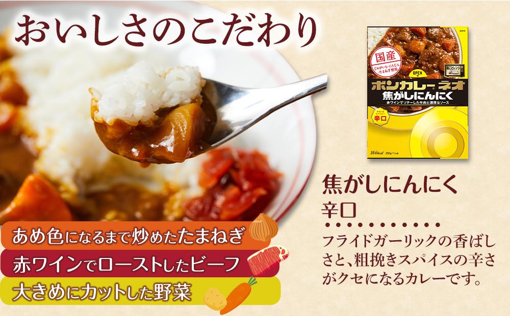 【定期便 全3回】ボンカレーネオ 焦がしにんにく やみつきスパイシー(辛口)　30個×3回　計90個