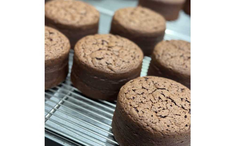 繧ッ繝ゥ繧キ繝繧ッ繧ャ繝医シ繧キ繝ァ繧ウ繝ゥシ12cmシ4蜿キ 繝√Ι繧ウ繧ア繝シ繧ュ 繧ア繝シ繧ュ 繝√Ι繧ウ 繧ケ繧、繝シ繝 豢玖藷蟄 繝帙シ繝ォ繧ア繝シ繧ュ 繝励Ξ繧シ繝ウ繝 繧ョ繝輔ヨ