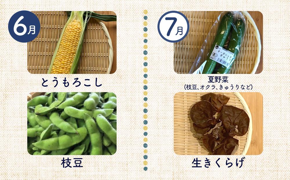 【12ヶ月定期便】野菜 くだもの 米（月替わりで毎月お届け）