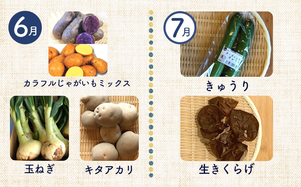 【12ヶ月定期便】野菜 くだもの 米（月替わりで毎月お届け）