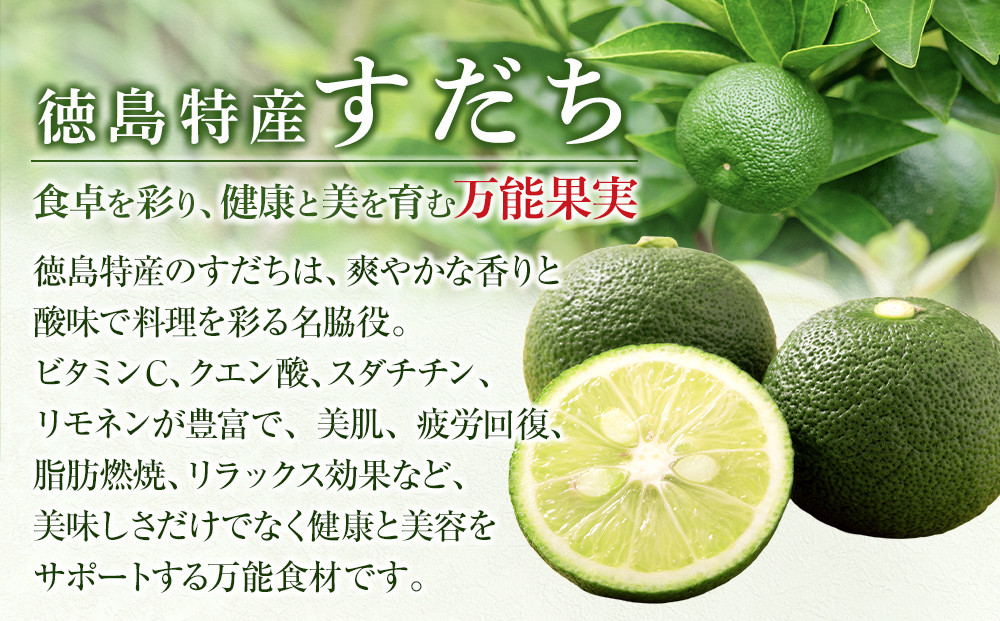 縺吶□縺。 譫懈ア 2Lシ 1L テ 2譛ャ シ峨せ繝繝 隱ソ蜻ウ譁 蠕ウ蟲カ逵