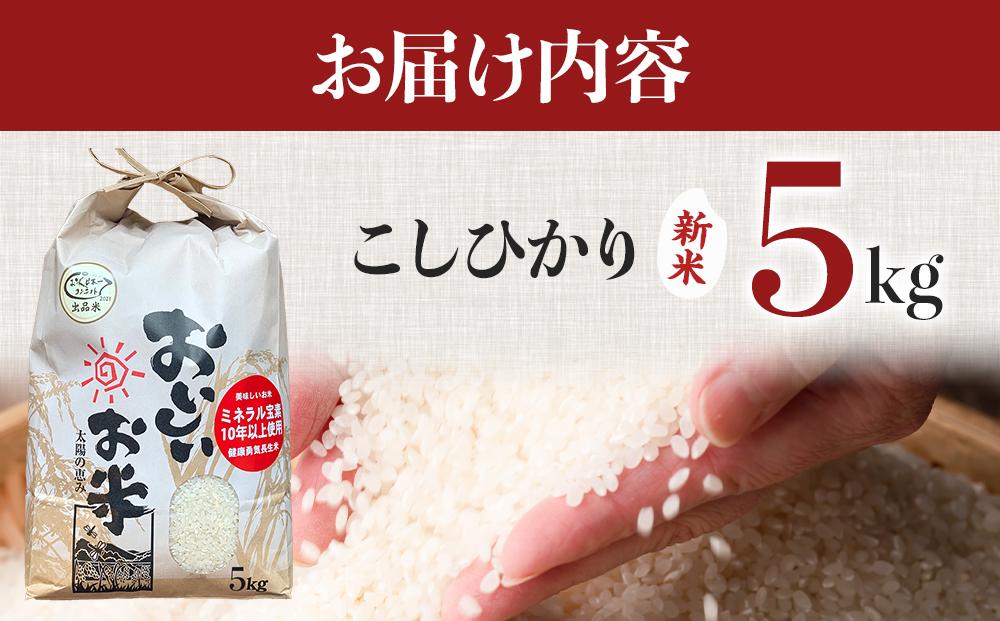 【期間限定】【令和6年産 新米】こしひかり 5kg（農薬・化学肥料不使用）【米 こめ お米 白米 精米 ブランド米 ご飯 人気 徳島 】