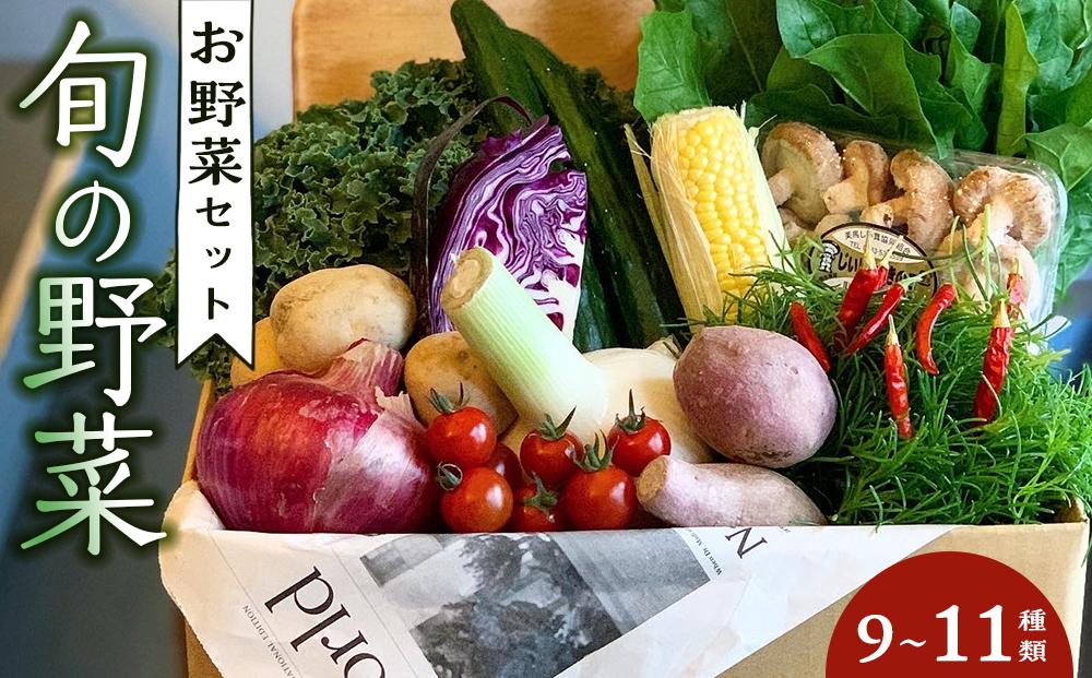 野菜セット 旬の野菜 （9~11種類)