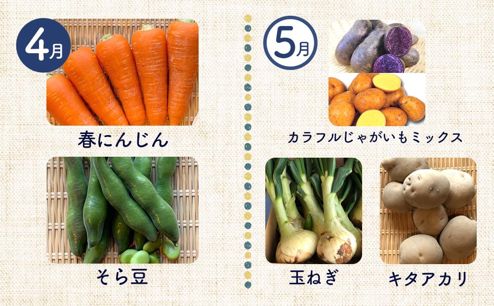 【12ヶ月定期便】野菜 くだもの 米（月替わりで毎月お届け）