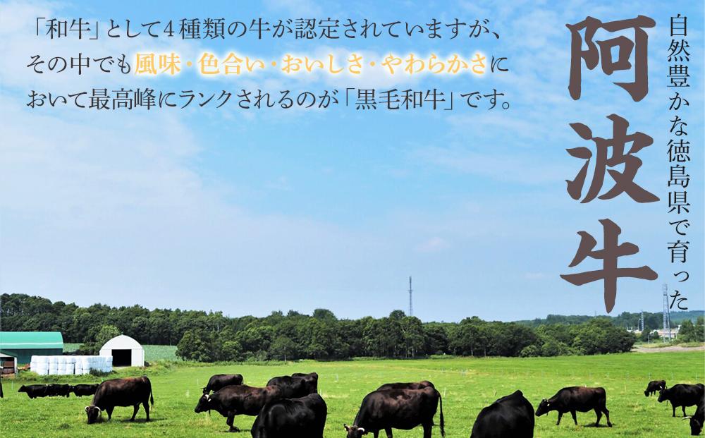 阿波牛のきわみ「一貫牛」A-5 ローススライス 500g・焼肉 500g 計約1kg