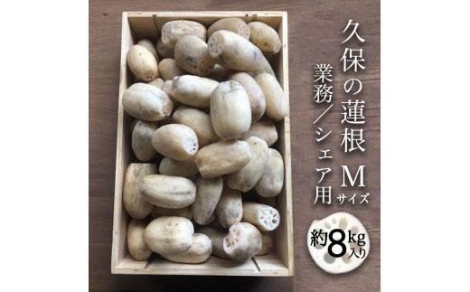 蓮根 業務・シェア用「Mサイズ」約8kg入