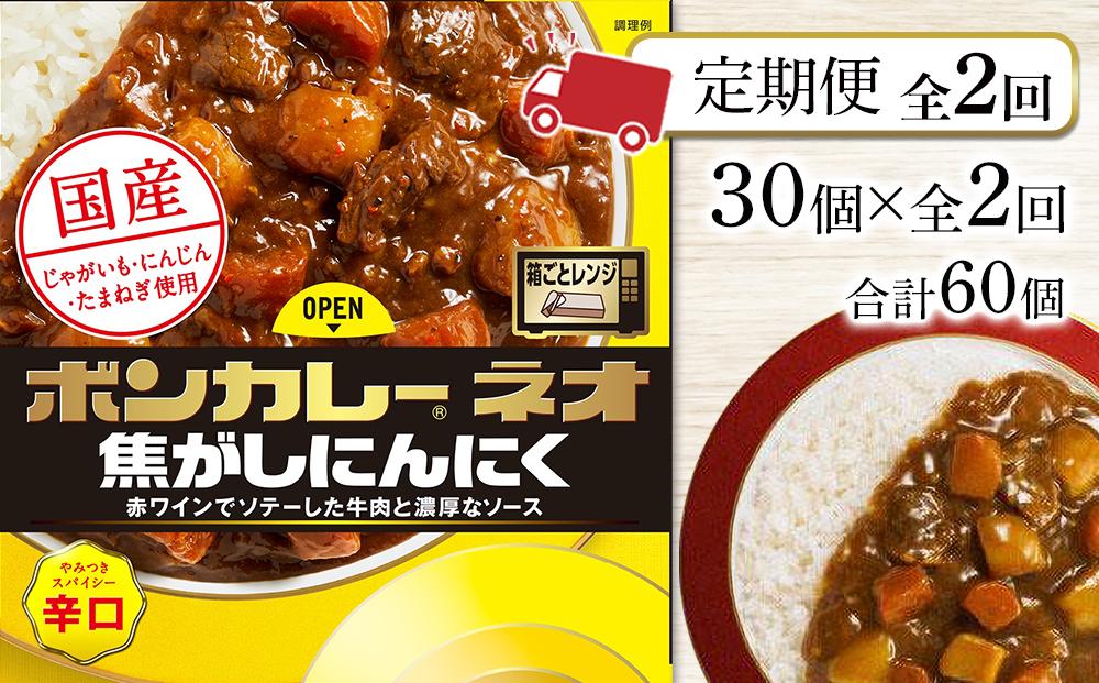 【定期便 全2回】ボンカレーネオ 焦がしにんにく やみつきスパイシー(辛口)　30個×2回　計60個