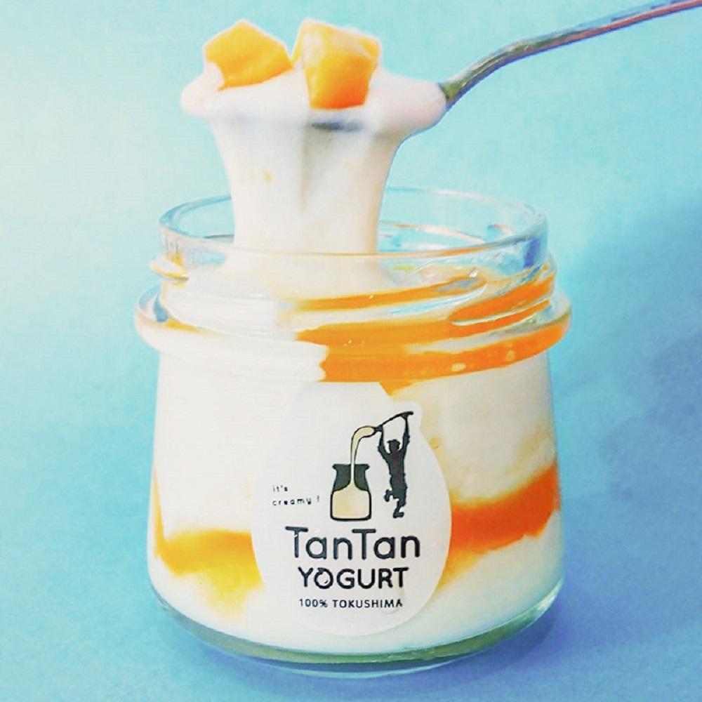 タンタンヨーグルト彩りセット　130g×10個（プレーン・ストロベリー・ブルーベリー・マンゴー・キウイ）