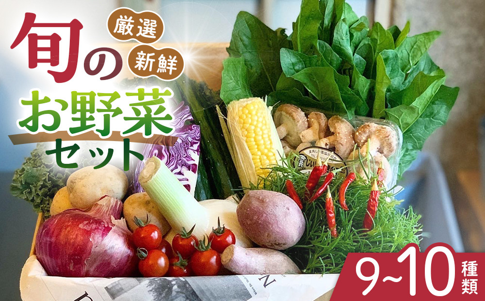 野菜セット 旬の野菜 （9~10種類) やさい 詰合せ 新鮮 季節の野菜
