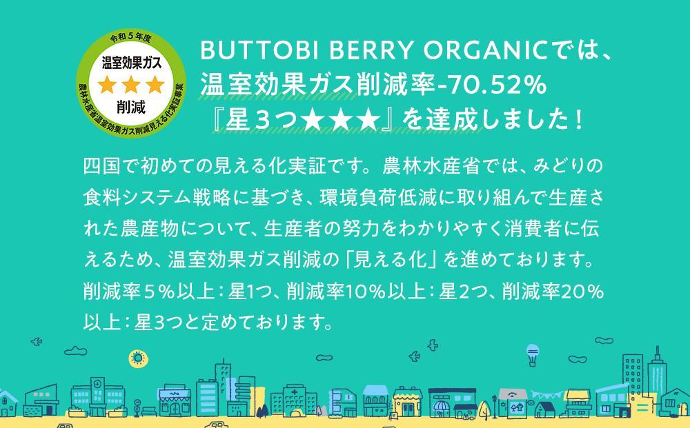 桐箱入り高級贈答用 とくしまオーガニックいちご  鶏冠果いちご(特大約400g) 先行受付【2025年2月より順次発送】