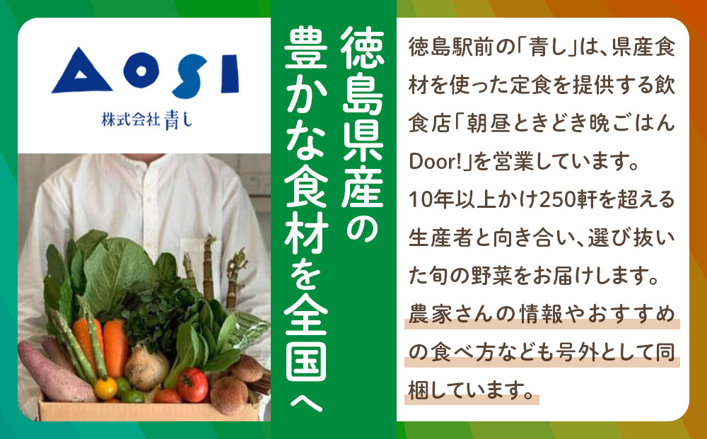【全5回定期便】野菜セット 旬の野菜 （9~10種類)