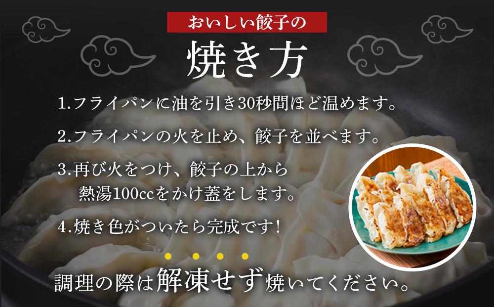 元祖薄皮餃子 食べ比べ餃子セット（にんにく72個 生姜36個 合計108個）タレ付き