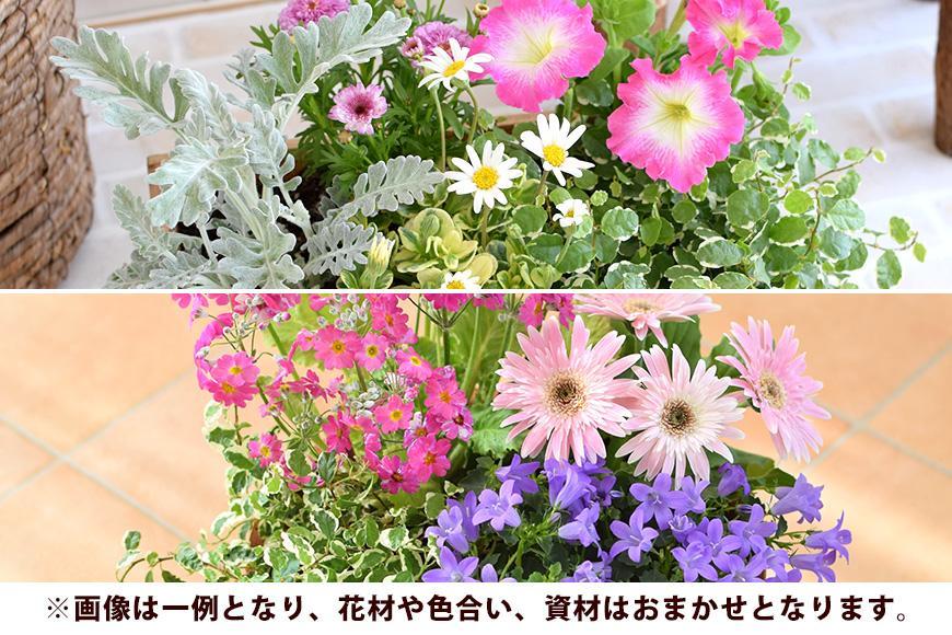 【定期便全3回】季節のお花 寄せ植え 3回コース