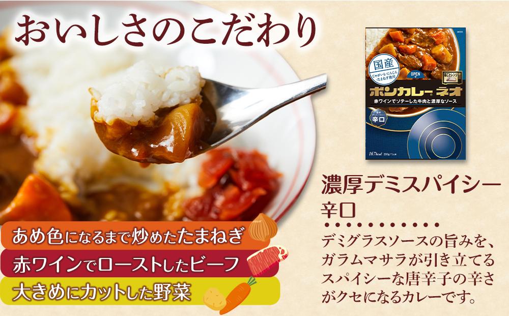 【定期便 全3回】ボンカレーネオ 濃厚デミスパイシー(辛口)　30個×3回　計90個