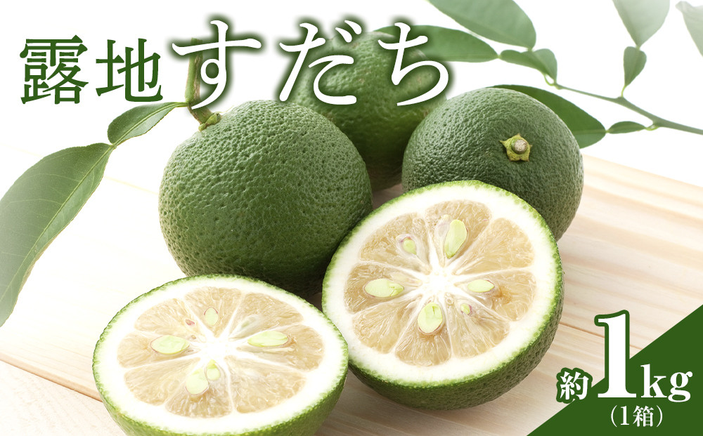 【期間限定】露地すだち約1kg（1箱）