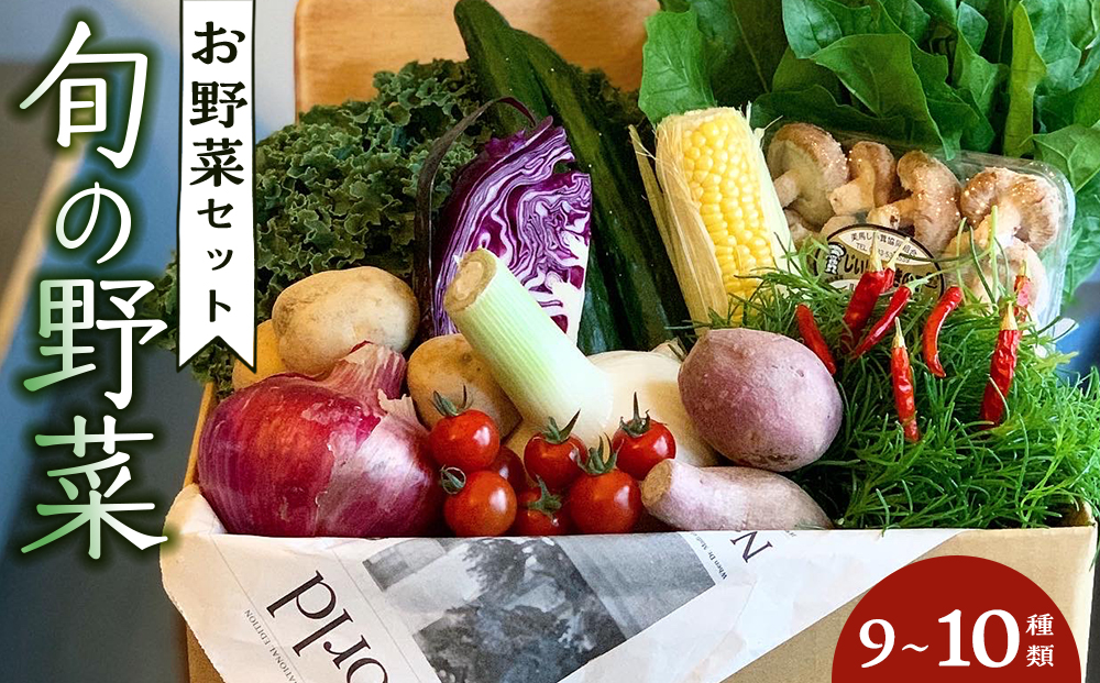 野菜セット 旬の野菜 （9~10種類)