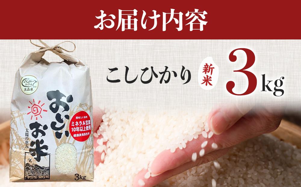 【期間限定】【令和6年産新米】こしひかり 3kg（農薬・化学肥料不使用）【米 こめ お米 白米 精米 ブランド米 ご飯 人気 徳島 】