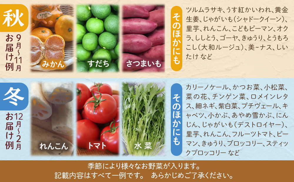 【全5回定期便】野菜セット 旬の野菜 （9~10種類)