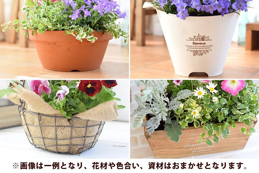 【定期便全3回】季節のお花 寄せ植え 3回コース