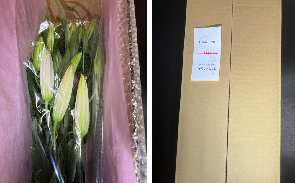 逋セ蜷医サ繧キ繝吶Μ繧「 30霈ェ 蛻繧願干