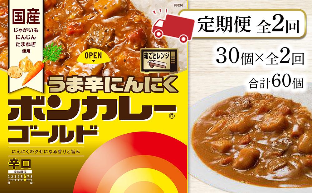 【定期便 全2回】ボンカレーゴールド うま辛にんにく（辛口）30個×2回　計60個