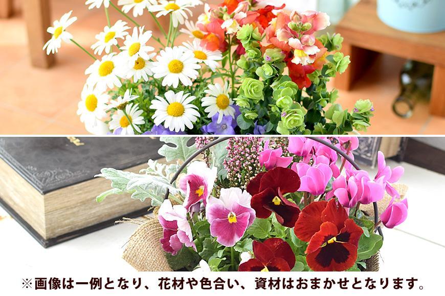 【定期便全3回】季節のお花 寄せ植え 3回コース