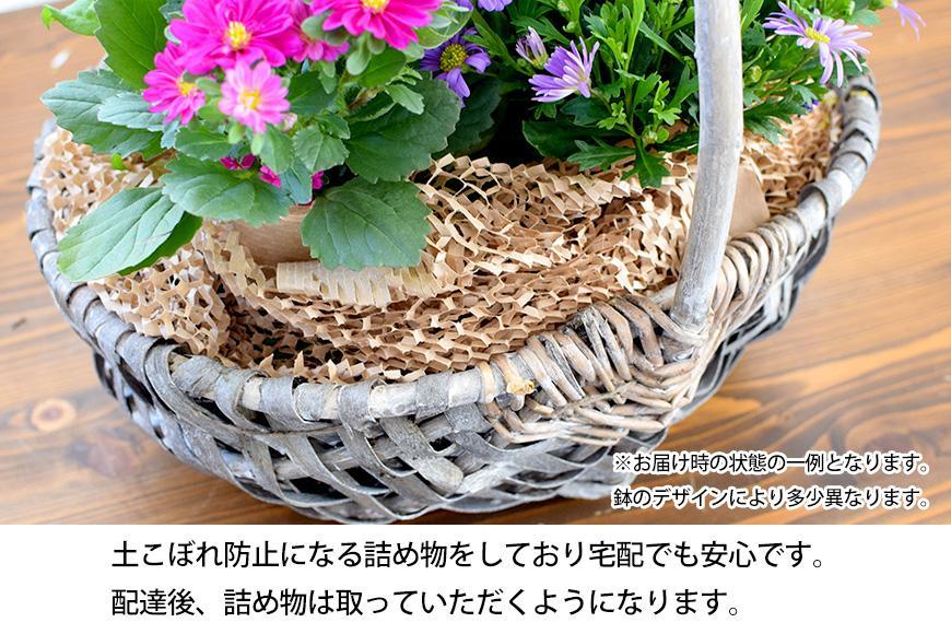 【定期便全3回】季節のお花 寄せ植え 3回コース