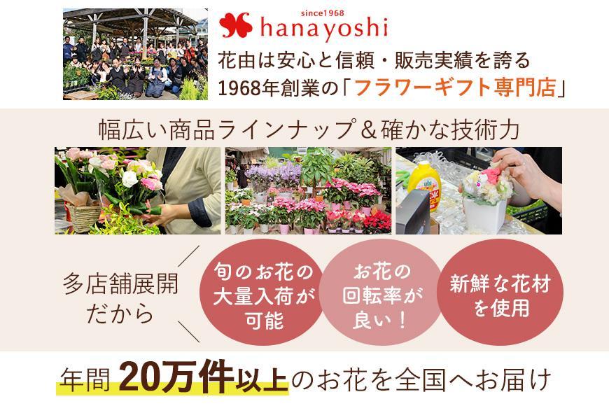 【定期便全3回】季節のお花 寄せ植え 3回コース