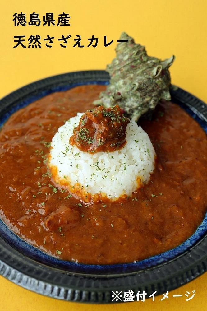 天然鳴門鯛カレー＆サザエカレー 食べ比べセット 210g×2個（各1個）（カレー レトルトカレー）