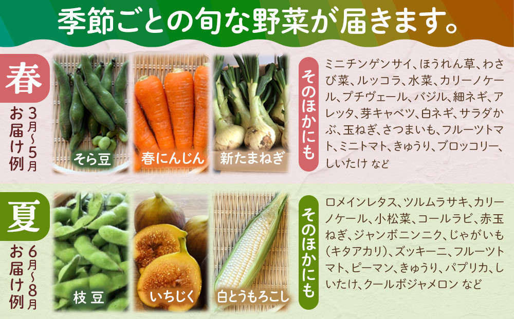 【全5回定期便】野菜セット 旬の野菜 （9~10種類)