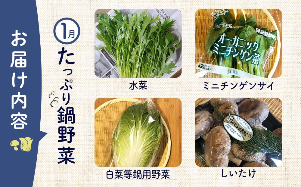 【12ヶ月定期便】野菜 くだもの 米（月替わりで毎月お届け）